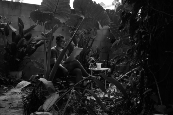 Pipit Dalam Badai (Sparrow in a Storm) | Van Luber Parensen