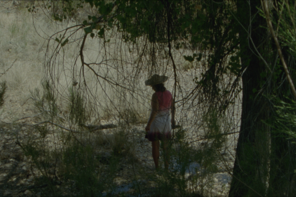 El Mar La Mar | Joshua Bonnetta & J.P. Sniadecki