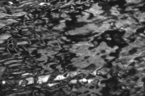 Liquid is Light | Kalpana Subramanian