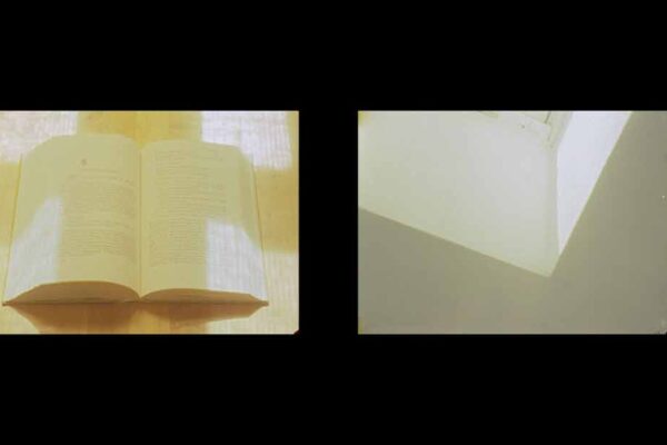 Monosabishii | Wenhua Shi
