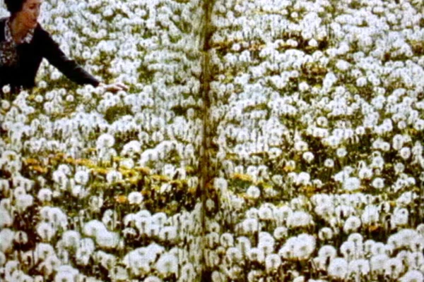 You Don’t Bring Me Flowers | Michael Robinson