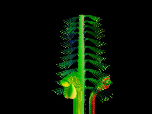 Thalé | Barry Doupé