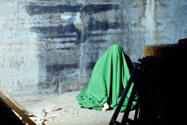 Negative Hallucination | Diego Behncke