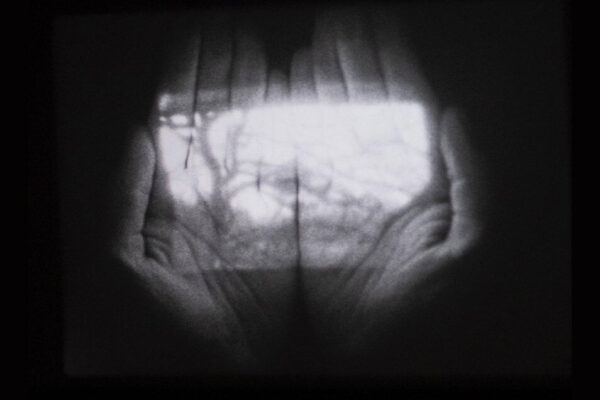 II (Above) | Grace Baggott