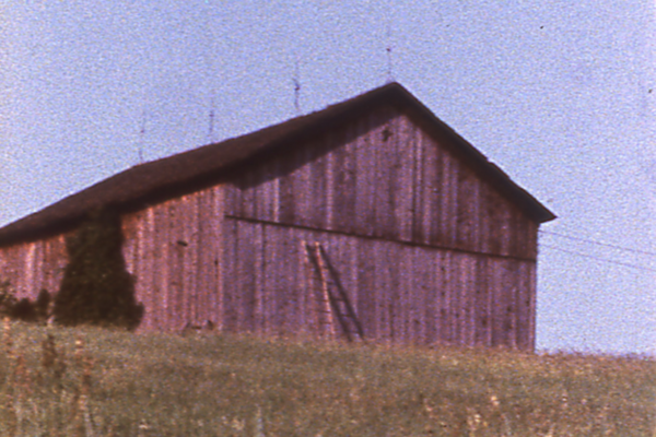 Barn Rushes | Larry Gottheim